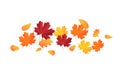 Leaf fall. Vector leaves flying in the wind. Horizontal line of red and yellow leaves.